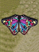 Butterfly Shape Printed Beach Shawl
