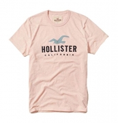 Hollister Men’s Polo Shirt T Shirt (XL, Red 1849)